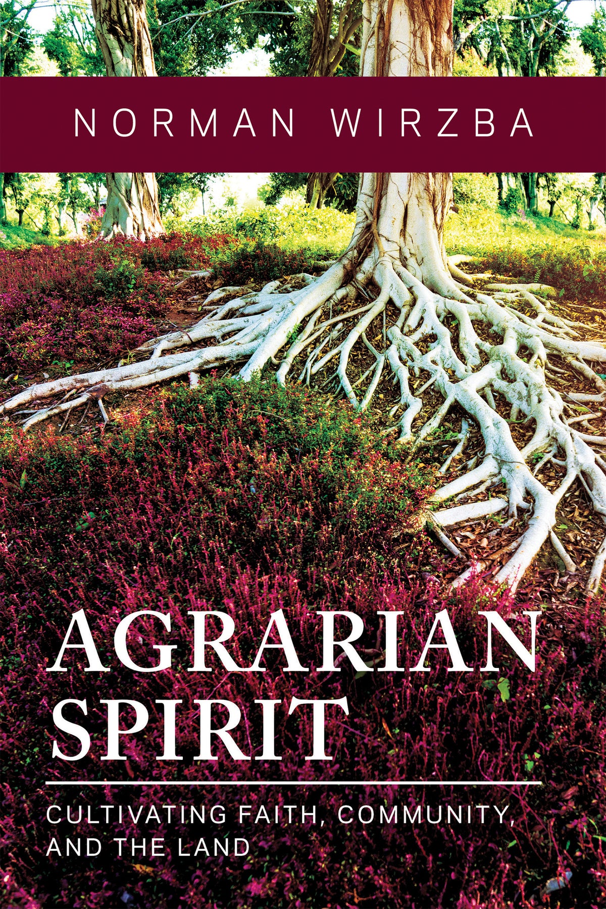 Cover image for Agrarian Spirit ISBN 9780268203092