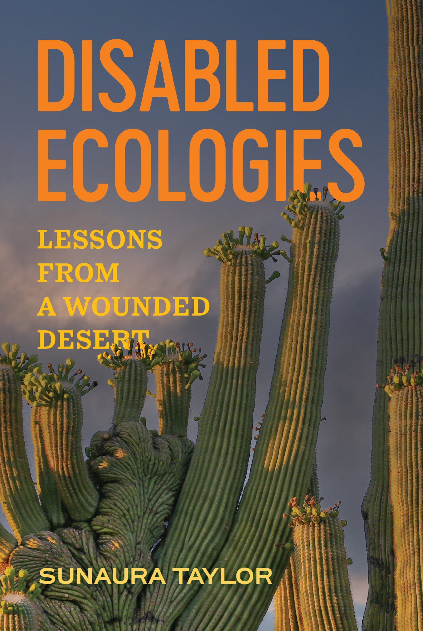 Disabled Ecologies