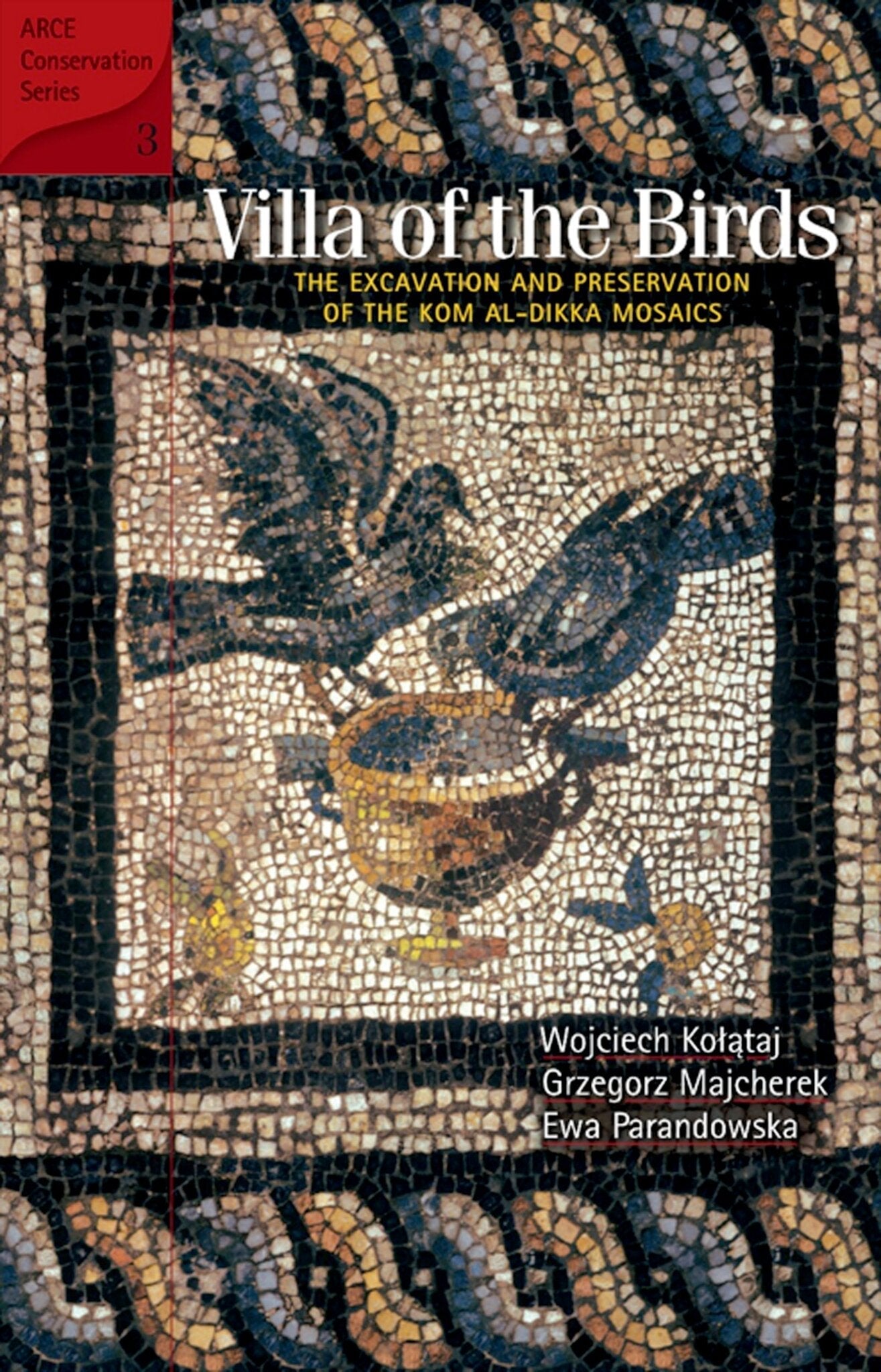 Cover image for Villa of the Birds: ISBN 9781617976087