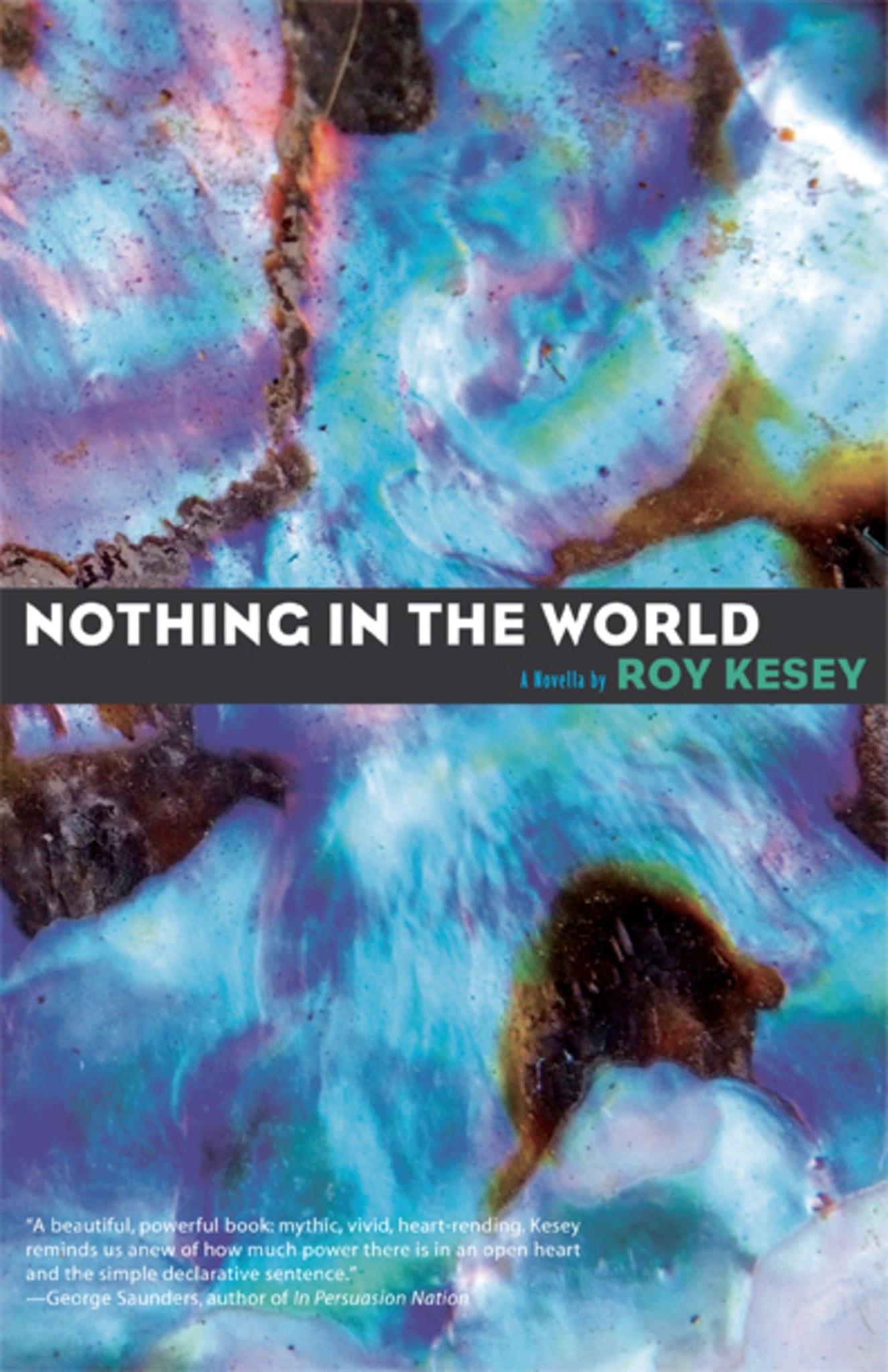 Cover image for Nothing in the World ISBN 9781936873852