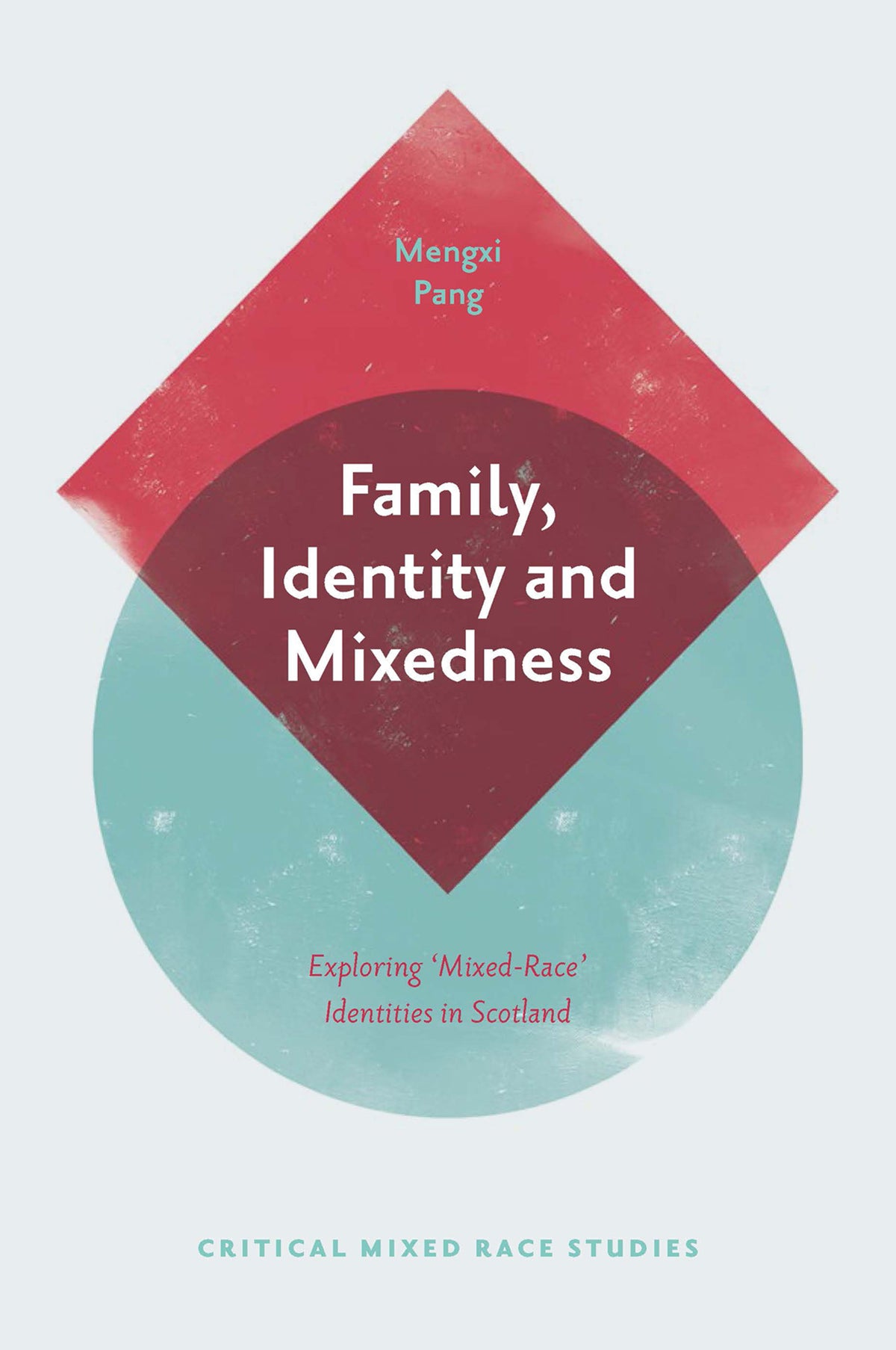 Cover image for Family, Identity and Mixedness ISBN 9781839097355