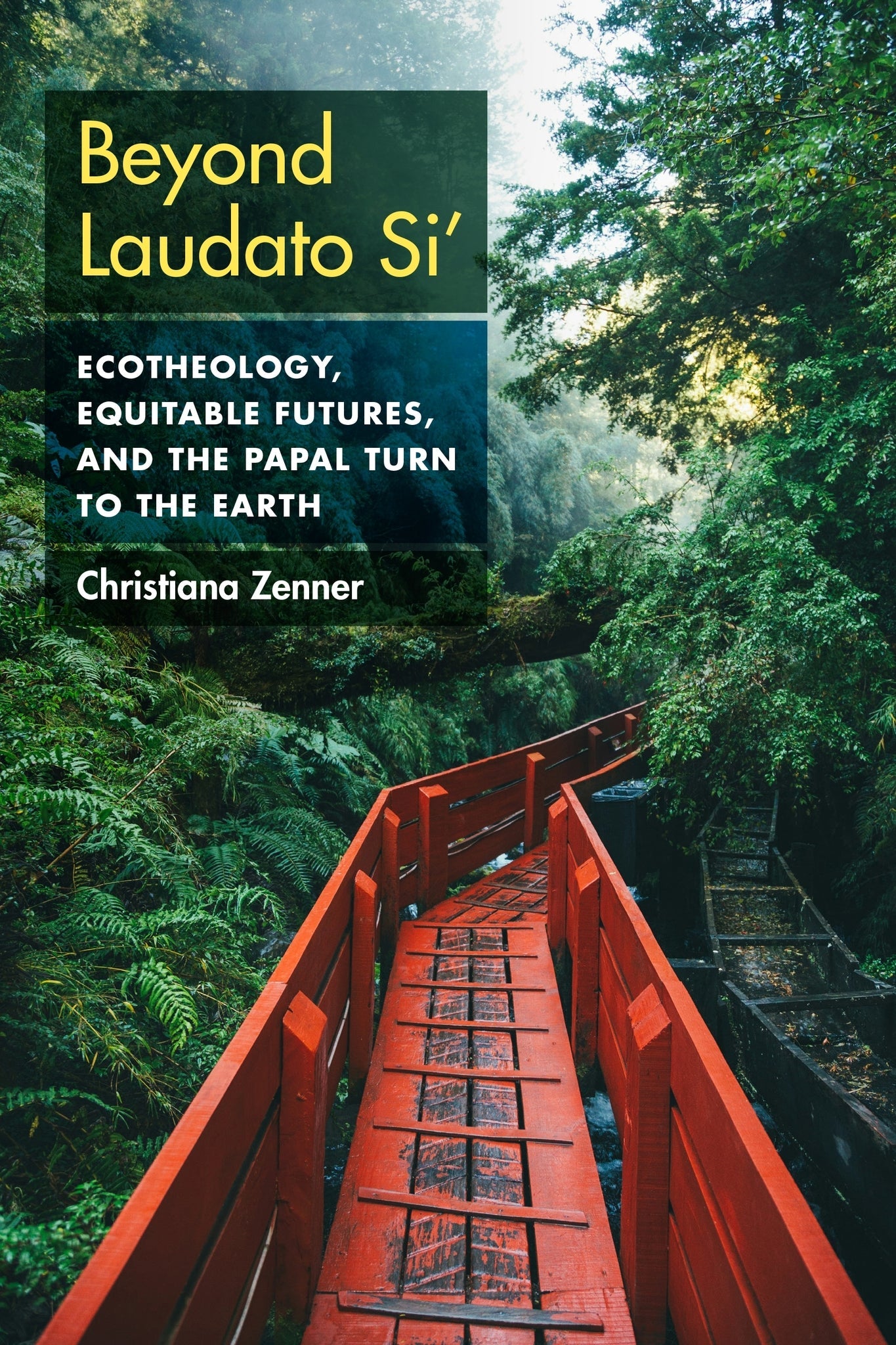 Cover image for Beyond Laudato Si' ISBN 9781531513795