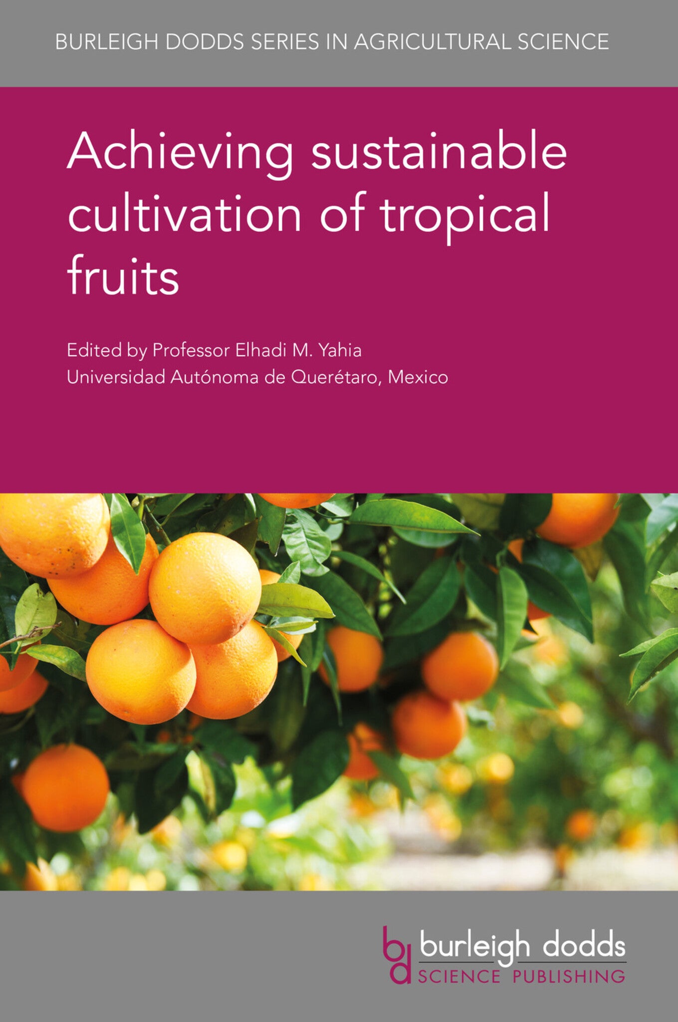 Cover image for Achieving sustainable cultivation of tropical fruits ISBN 9781786762863