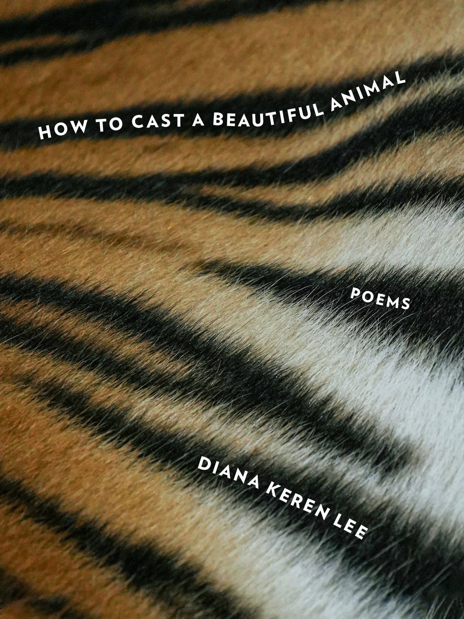 Cover image for How to Cast a Beautiful Animal ISBN 9781531514365