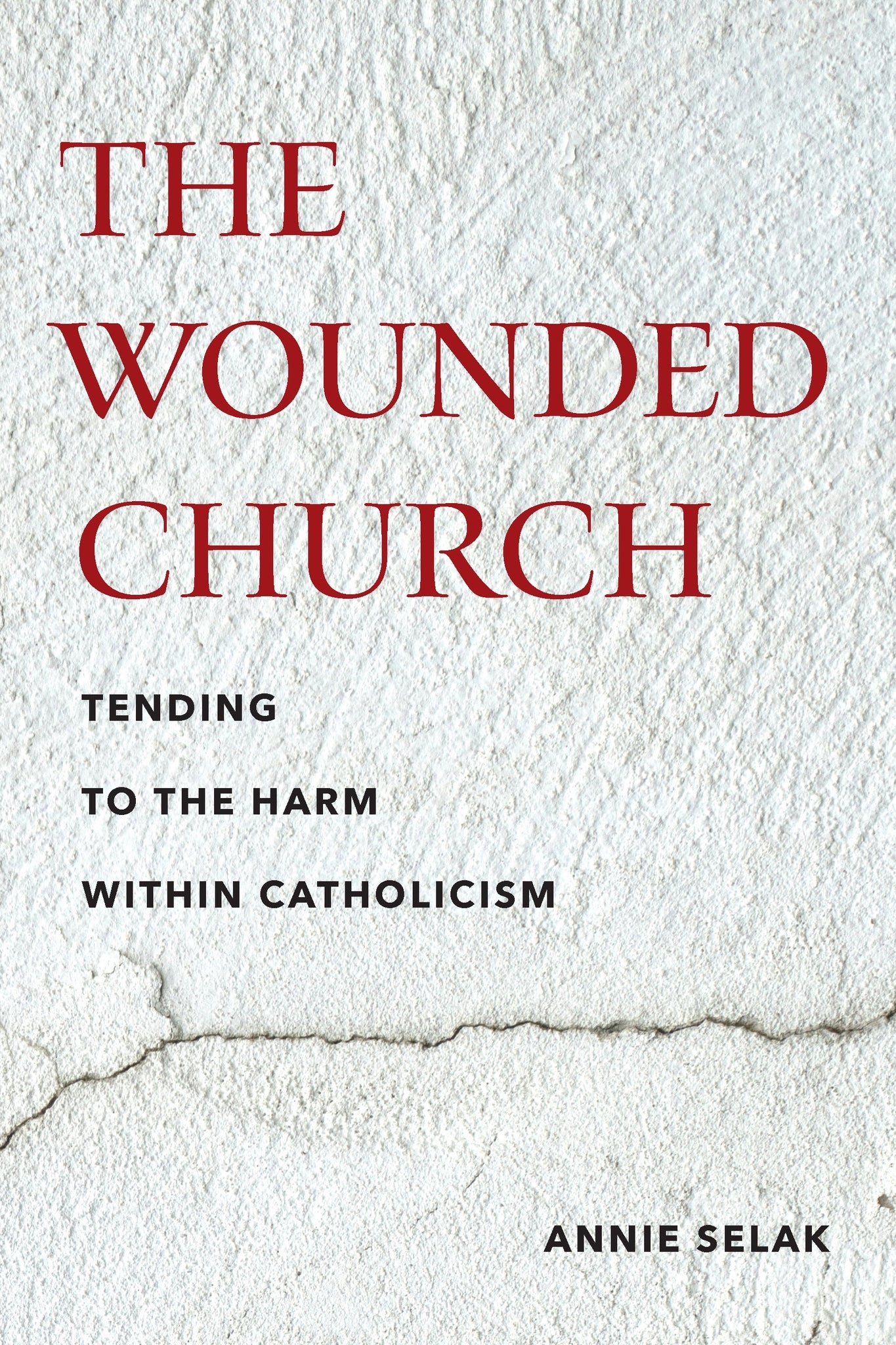 Cover image for The Wounded Church ISBN 9781531513368