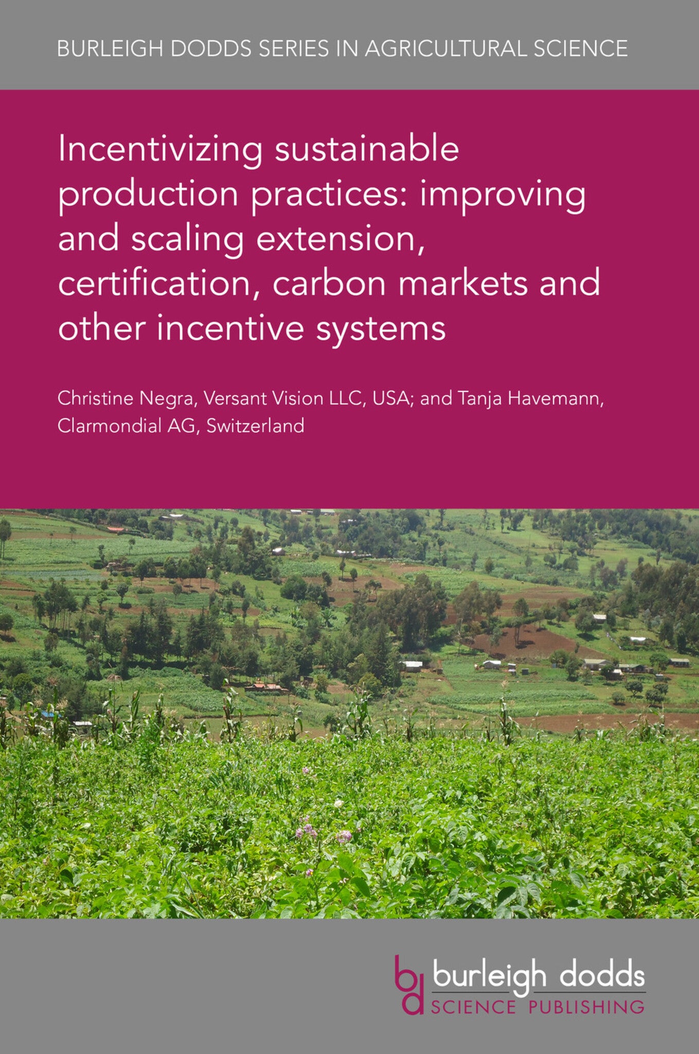 Cover image for Incentivizing sustainable production practices: improving and scaling extension, certification, carbon markets and other incentive systems ISBN 9781786769664