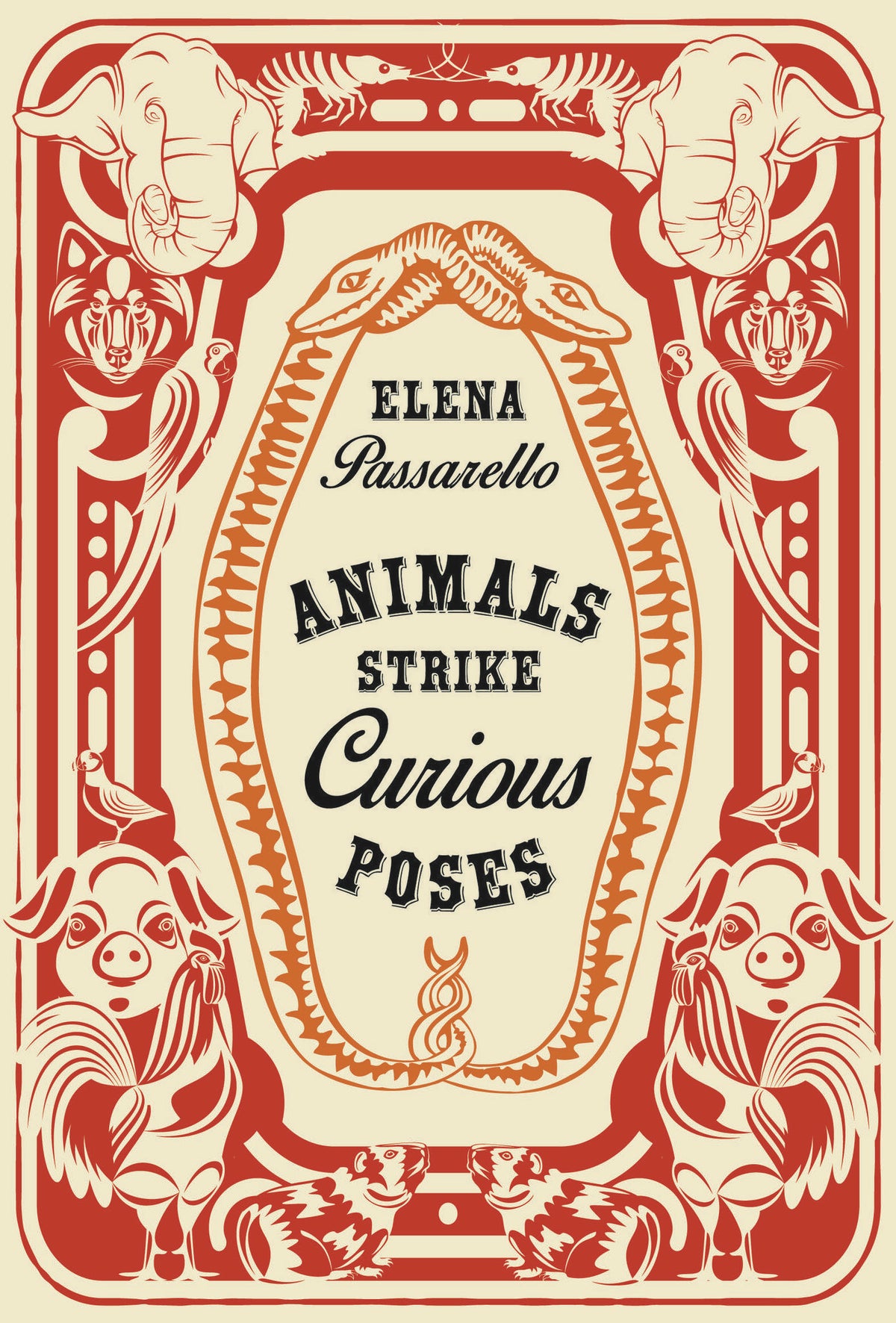Cover image for Animals Strike Curious Poses ISBN 9781956046182