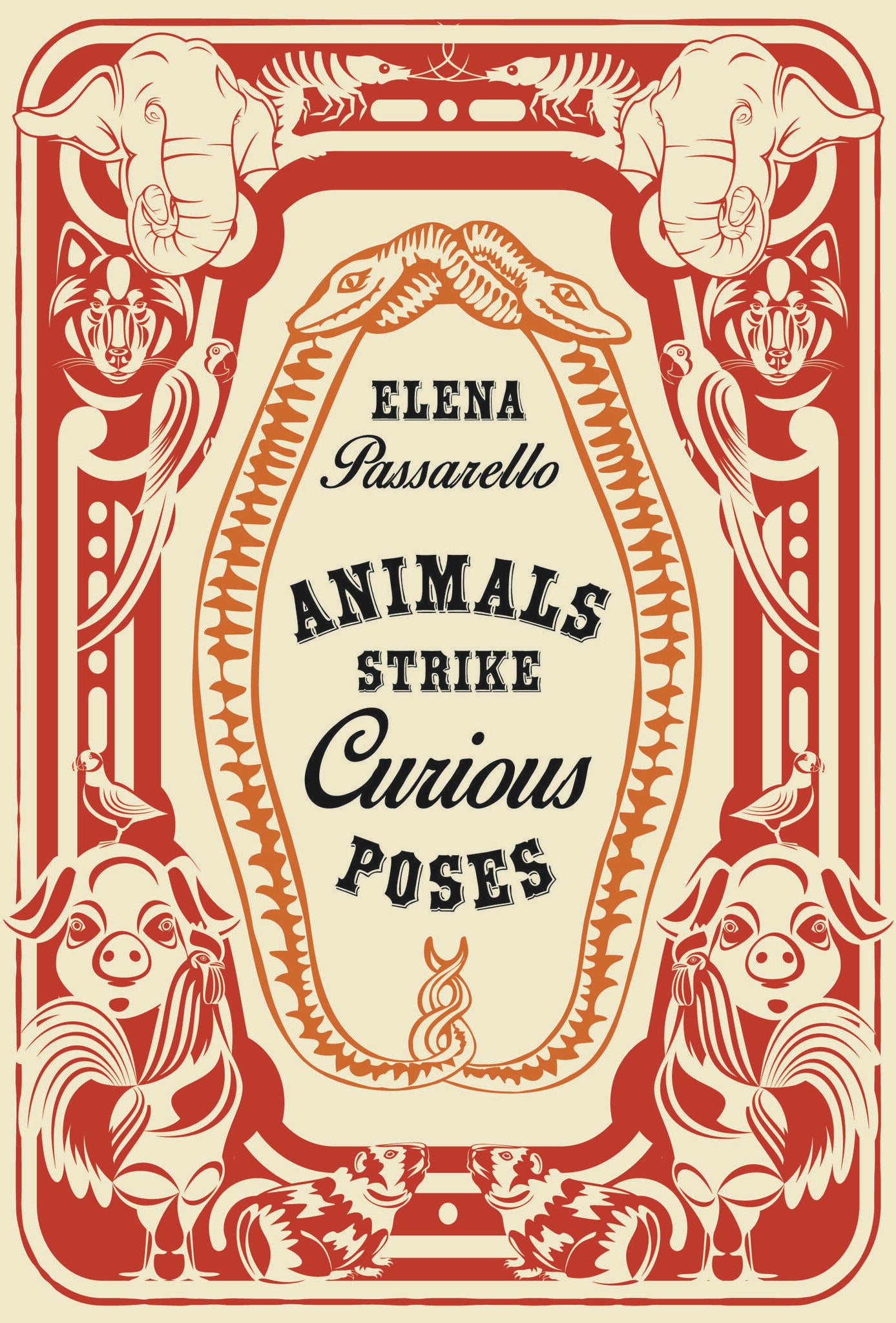 Cover image for Animals Strike Curious Poses ISBN 9781956046182