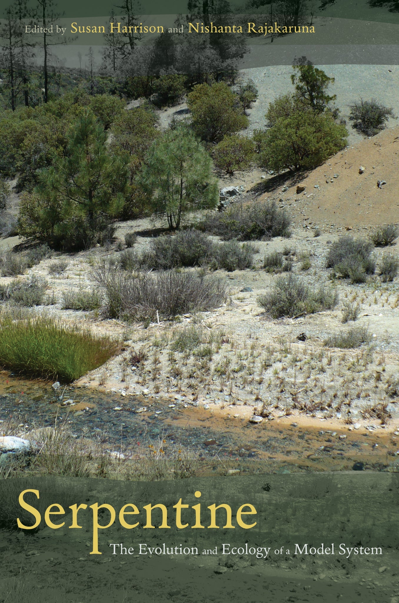 Cover image for Serpentine ISBN 9780520948457