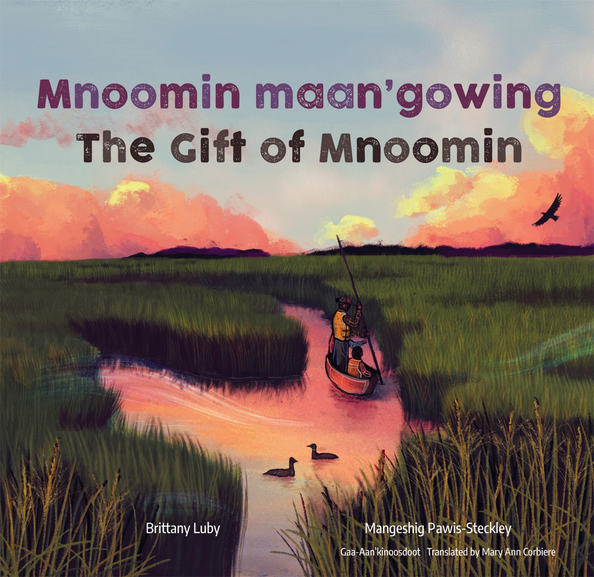 Cover image for Mnoomin maan'gowing / The Gift of Mnoomin ISBN 9781773068466