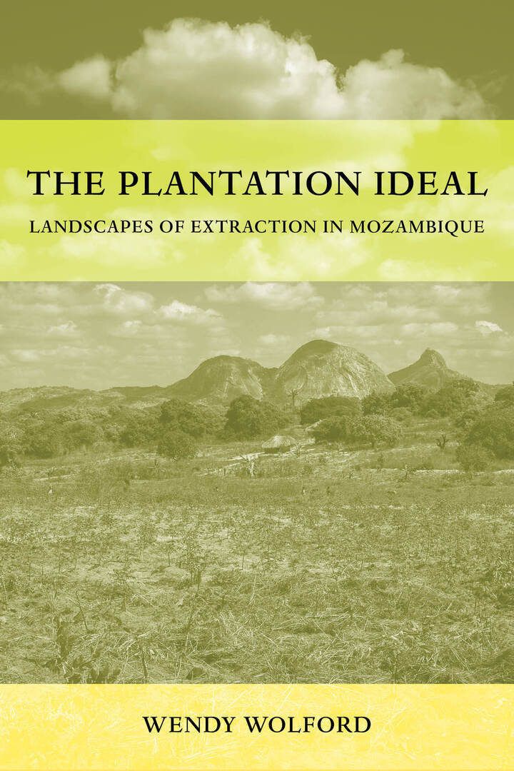 Cover image for The Plantation Ideal ISBN 9780520416871