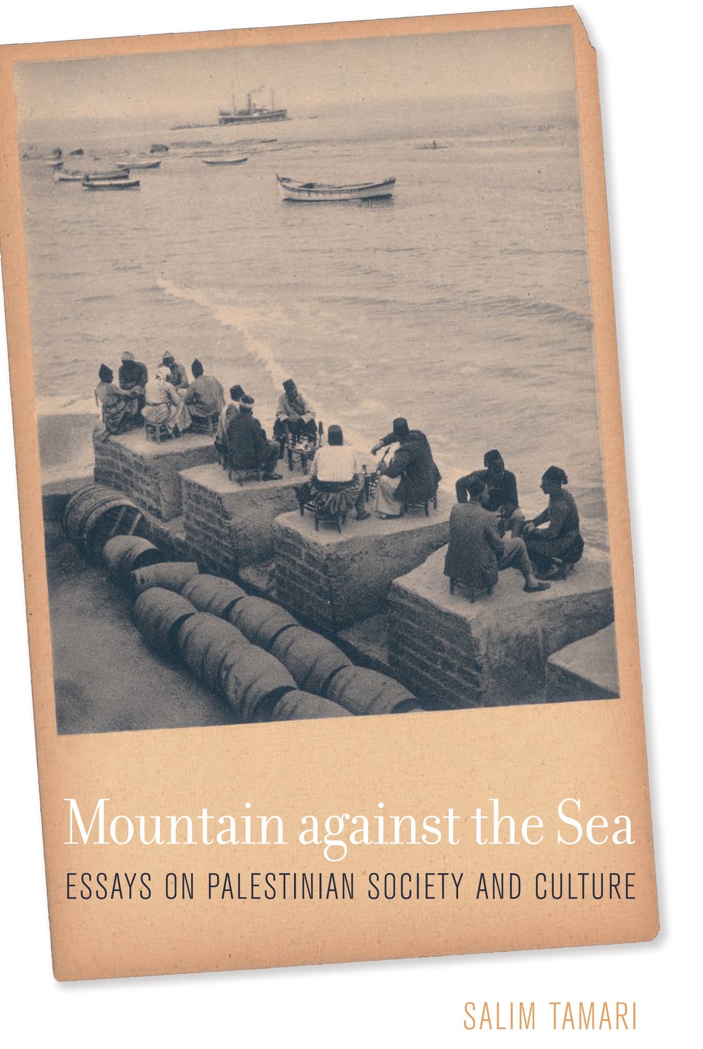 Cover image for Mountain against the Sea ISBN 9780520942424