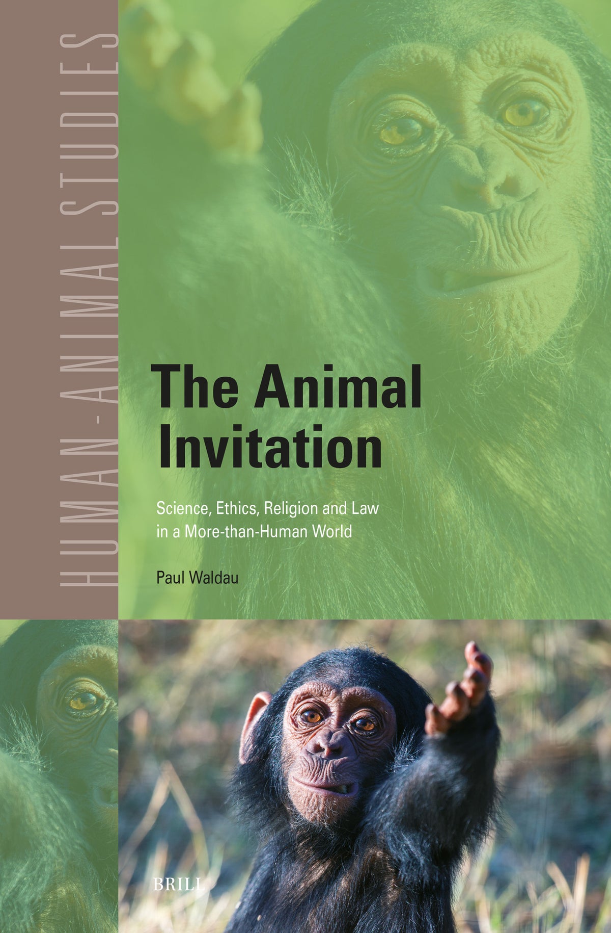 Cover image for The Animal Invitation: Science, Ethics, Religion and Law in a More-than-Human World ISBN 9789004745339