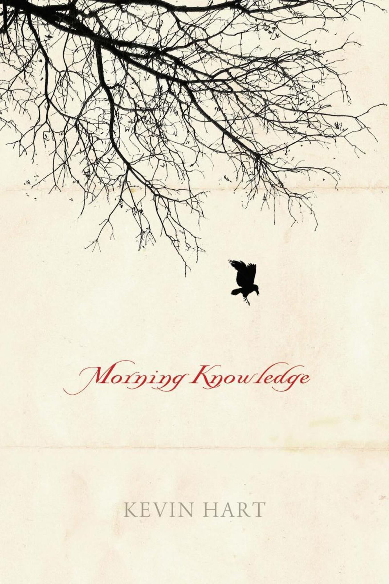 Cover image for Morning Knowledge ISBN 9780268030933