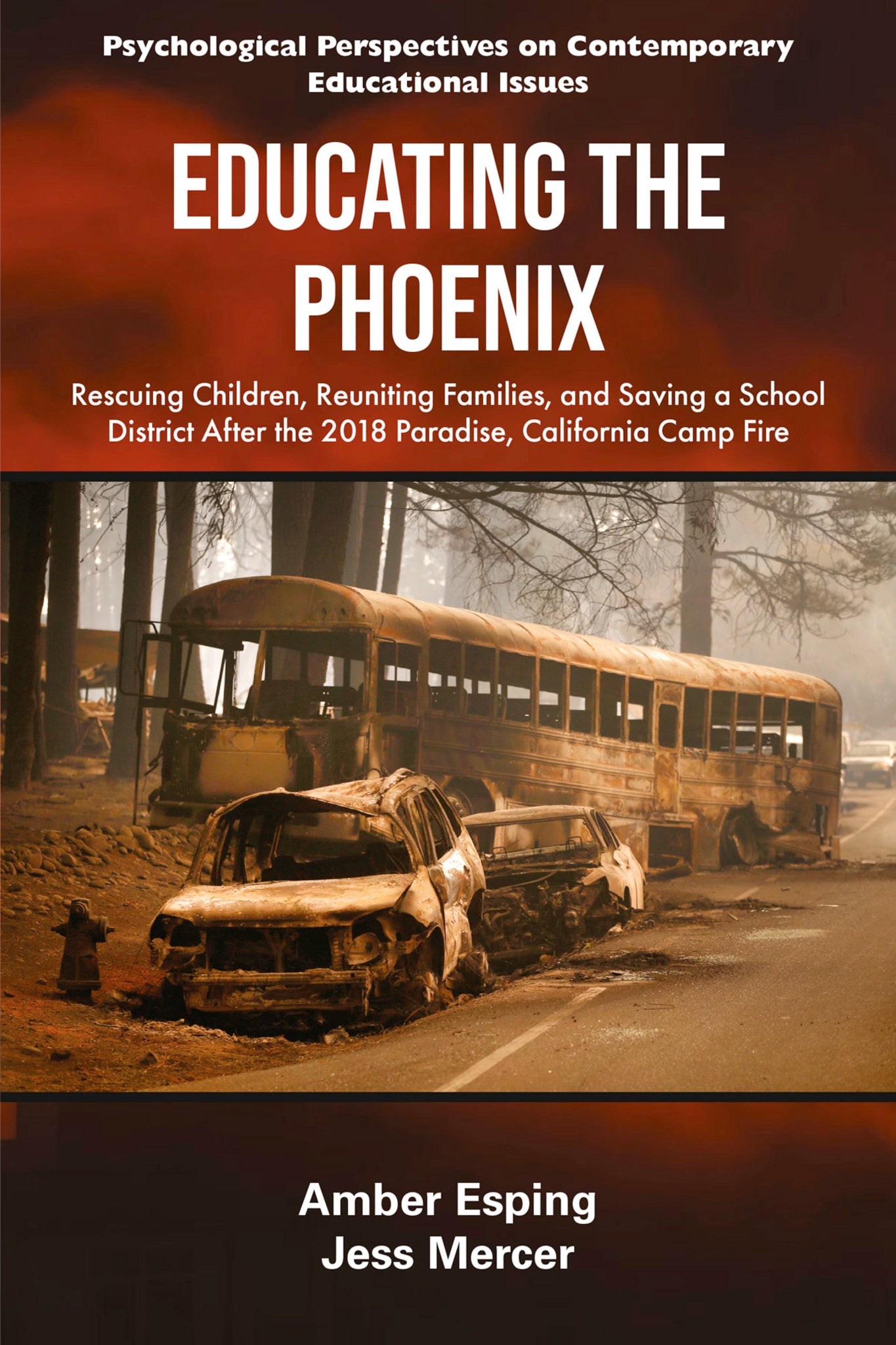 Educating the Phoenix