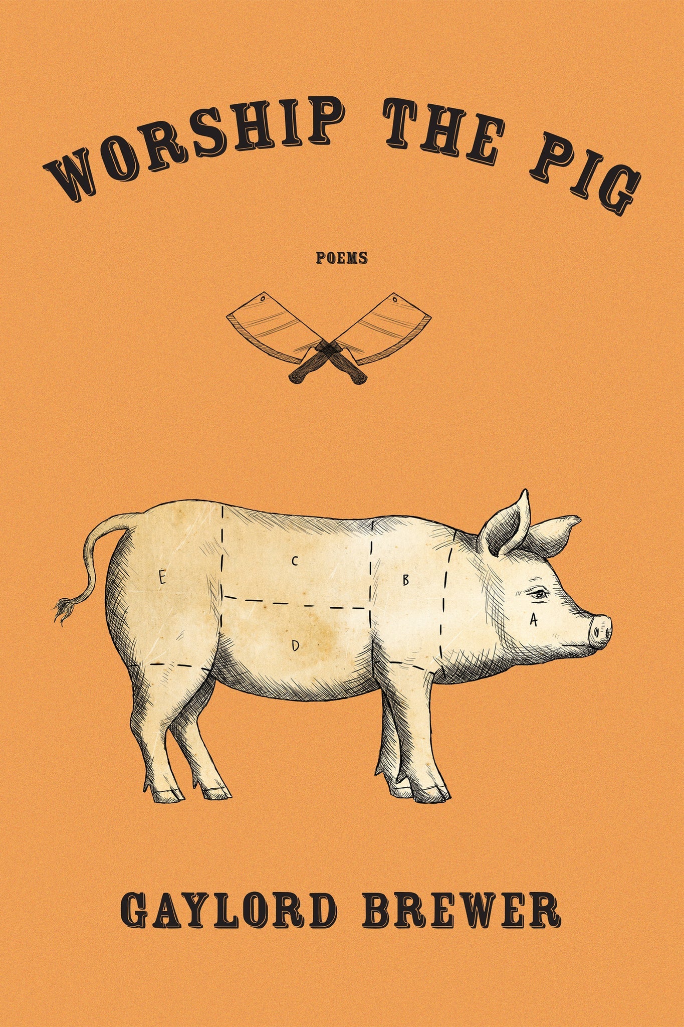 Cover image for Worship the Pig ISBN 9781597098076