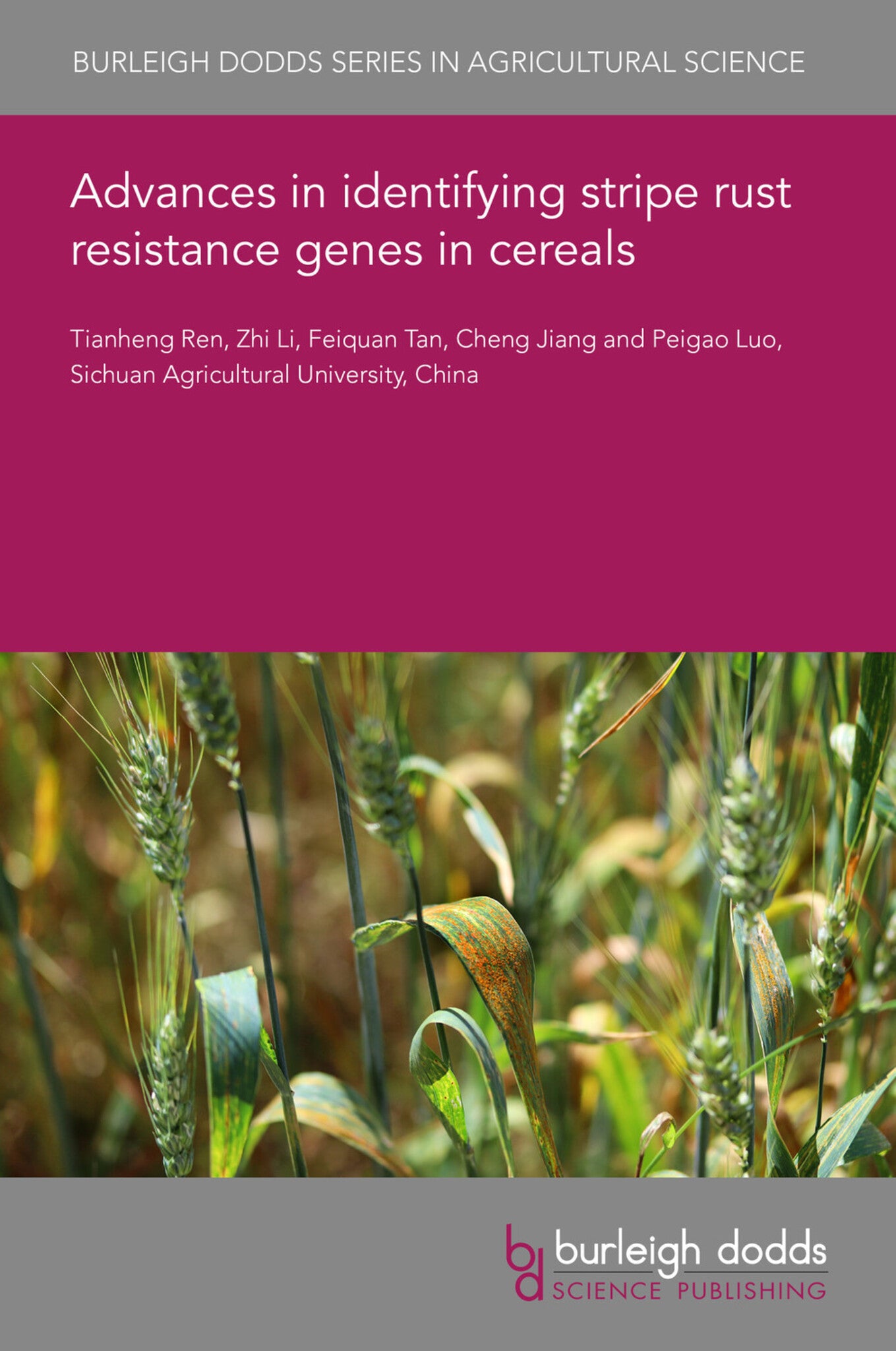 Cover image for Advances in identifying stripe rust resistance genes in cereals ISBN 9781801462945