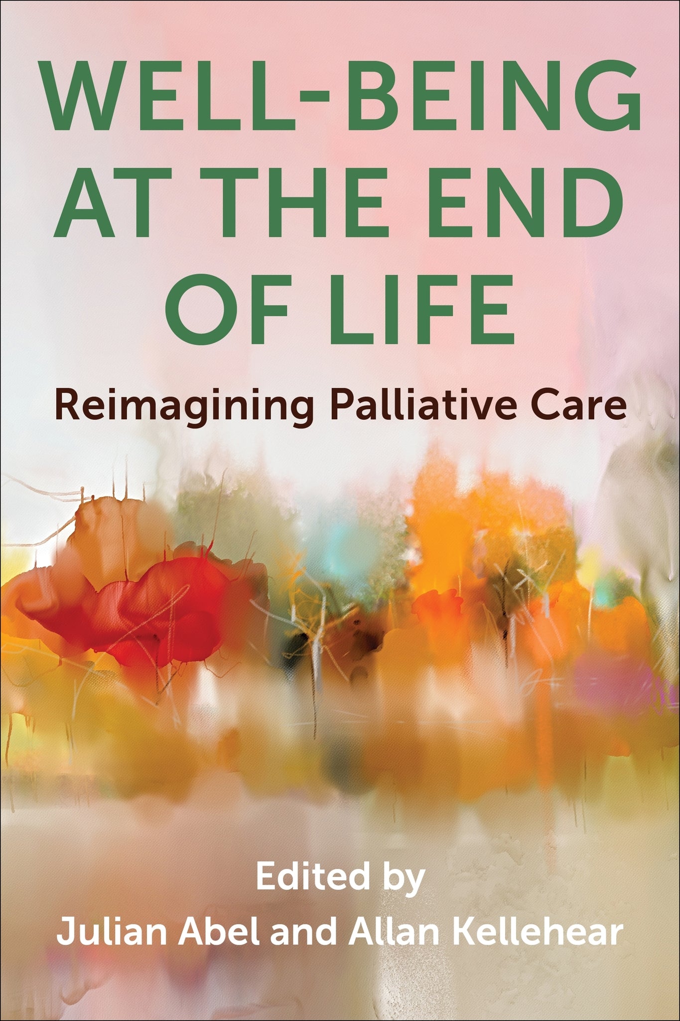 Cover image for Well-Being at the End of Life ISBN 9780231216272