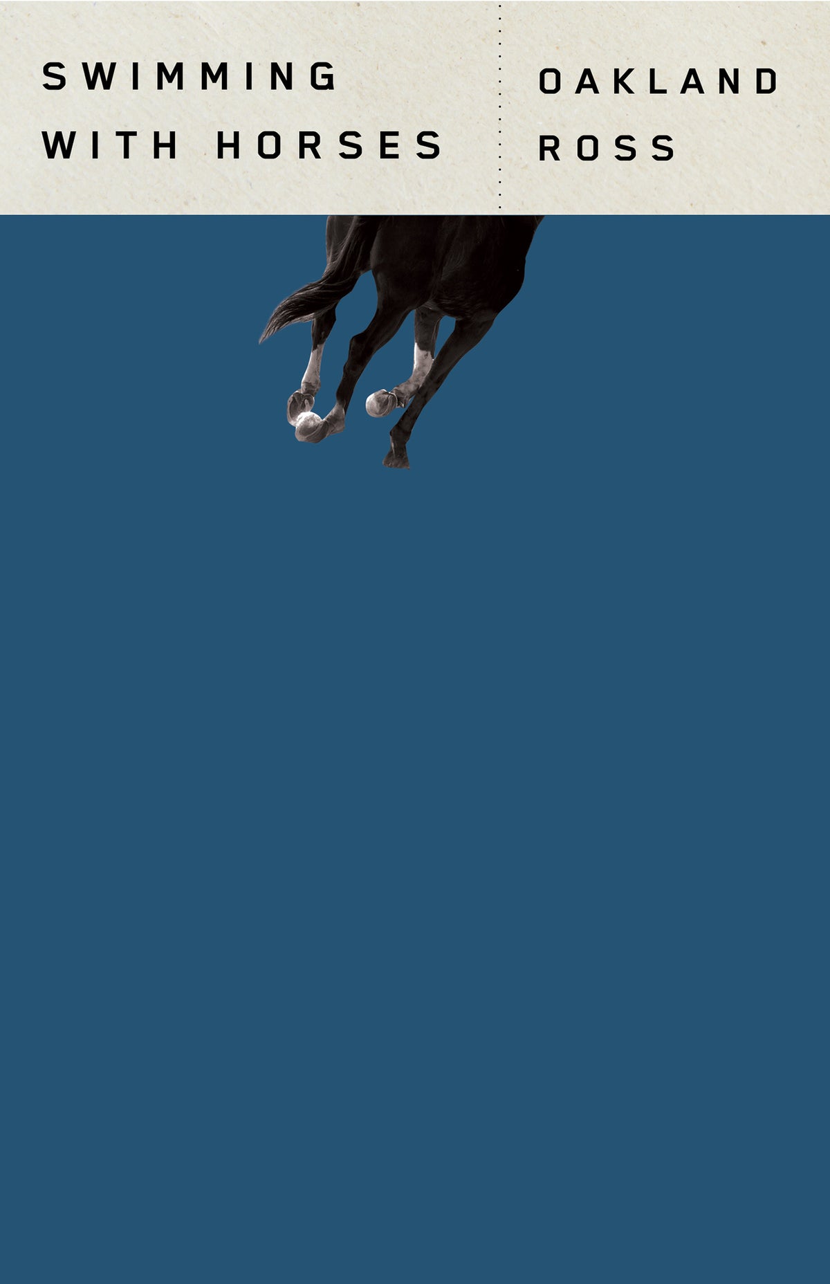 Cover image for Swimming with Horses ISBN 9781459743540