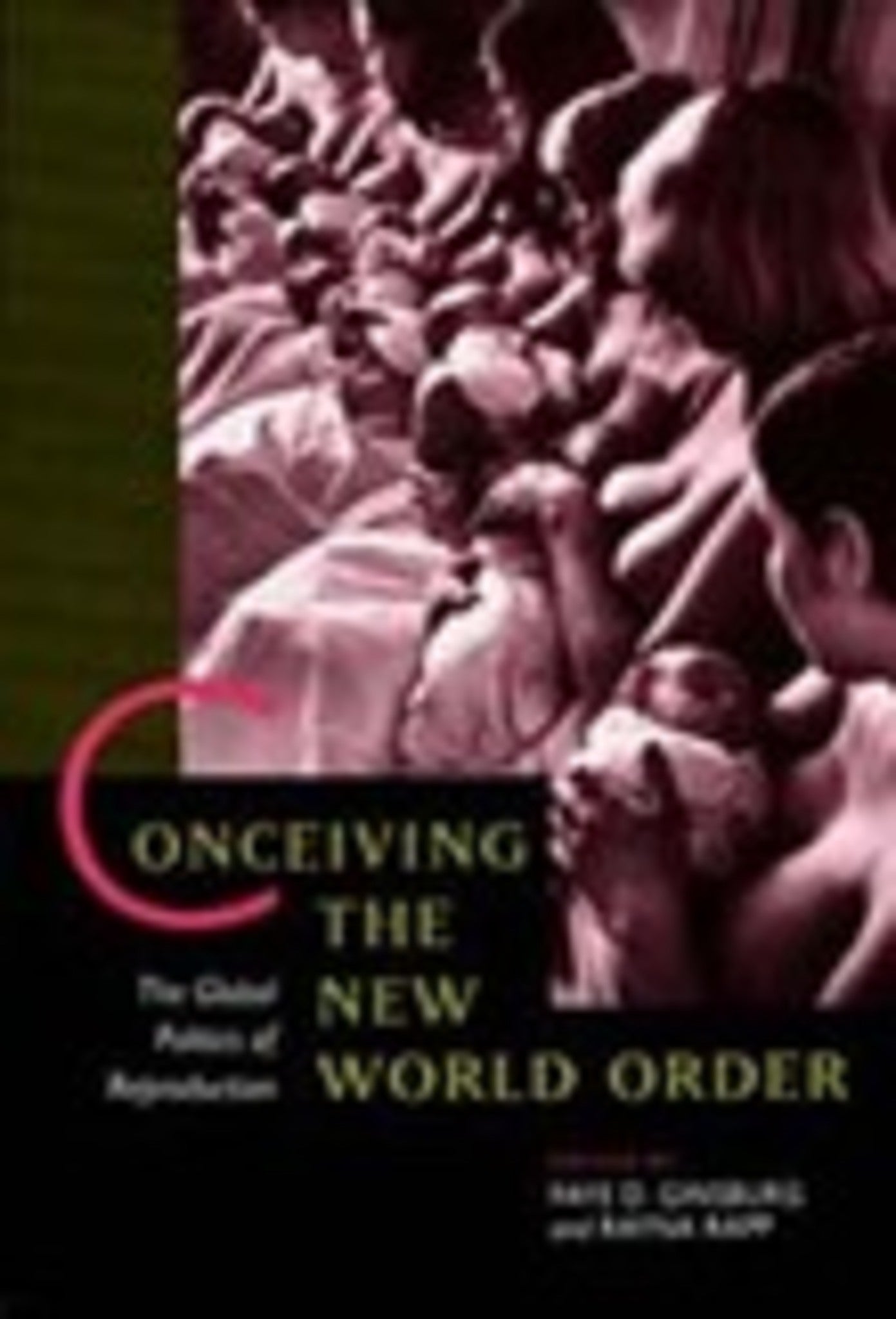 Cover image for Conceiving the New World Order ISBN 9780520915442