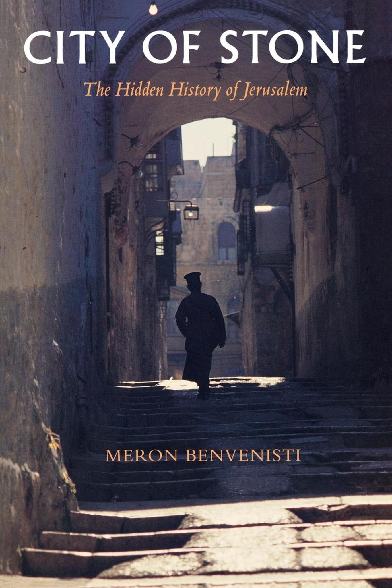 Cover image for City of Stone ISBN 9780520918689