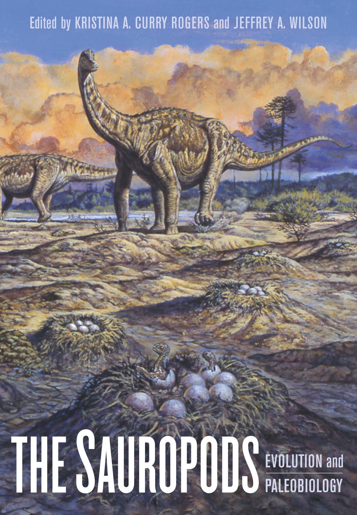 Cover image for The Sauropods ISBN 9780520932333