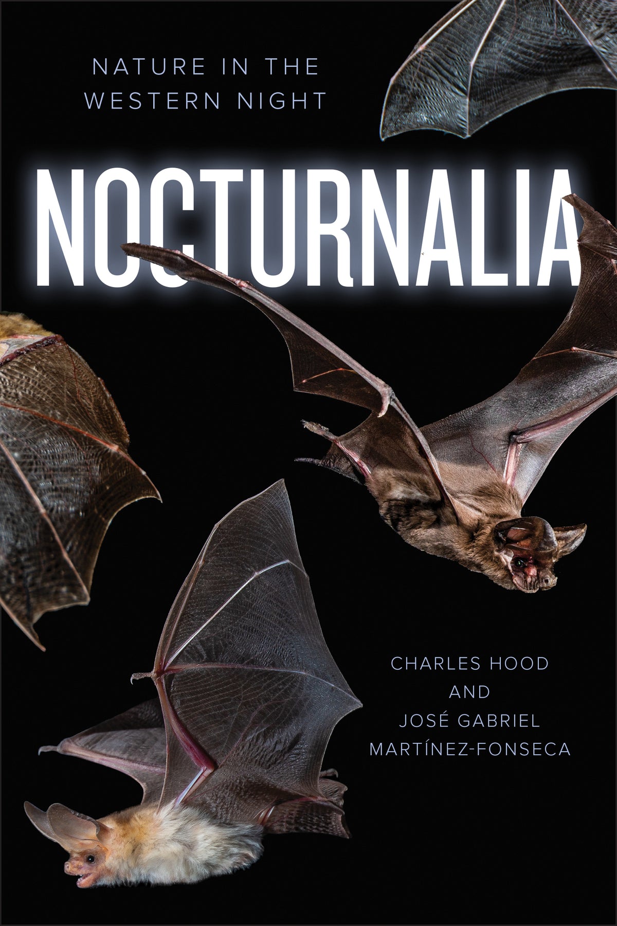 Cover image for Nocturnalia ISBN 9781597146241
