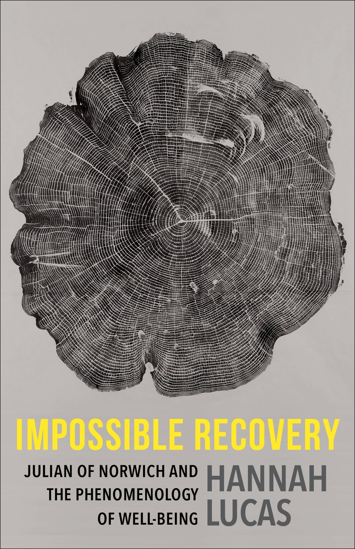 Cover image for Impossible Recovery ISBN 9780231218672