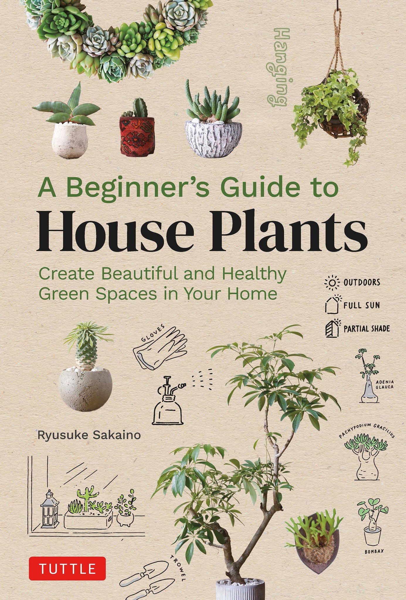 Cover image for A Beginner's Guide to House Plants ISBN 9780804855099