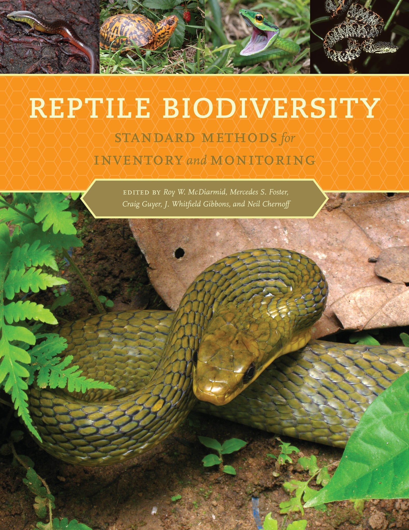 Cover image for Reptile Biodiversity ISBN 9780520952072