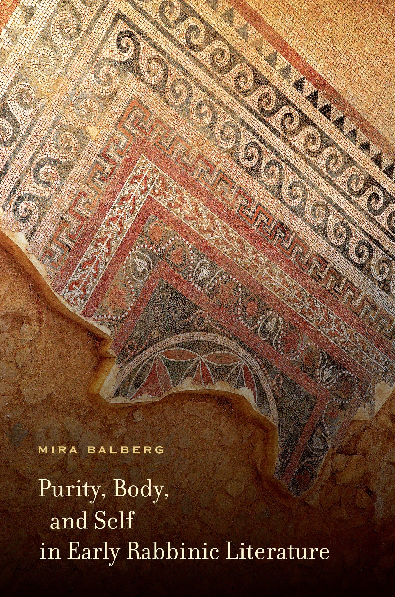 Cover image for Purity, Body, and Self in Early Rabbinic Literature ISBN 9780520958210