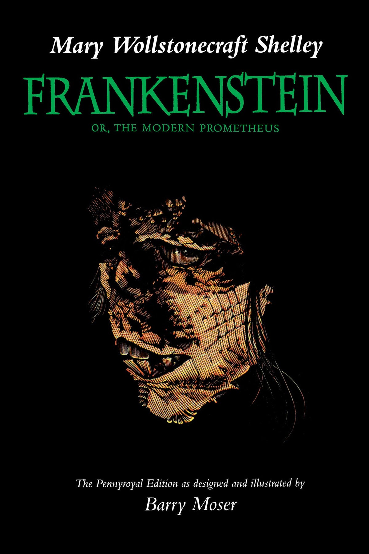 Cover image for Frankenstein ISBN 9780520916722