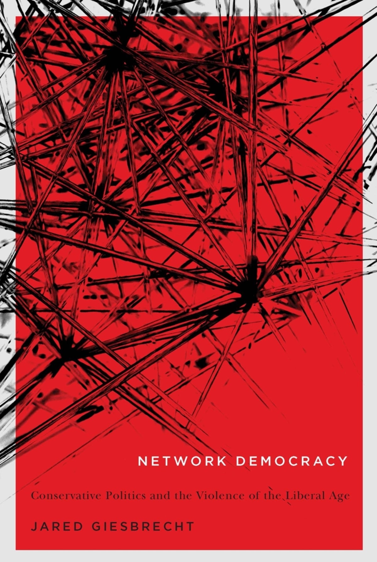 Cover image for Network Democracy ISBN 9780773550742