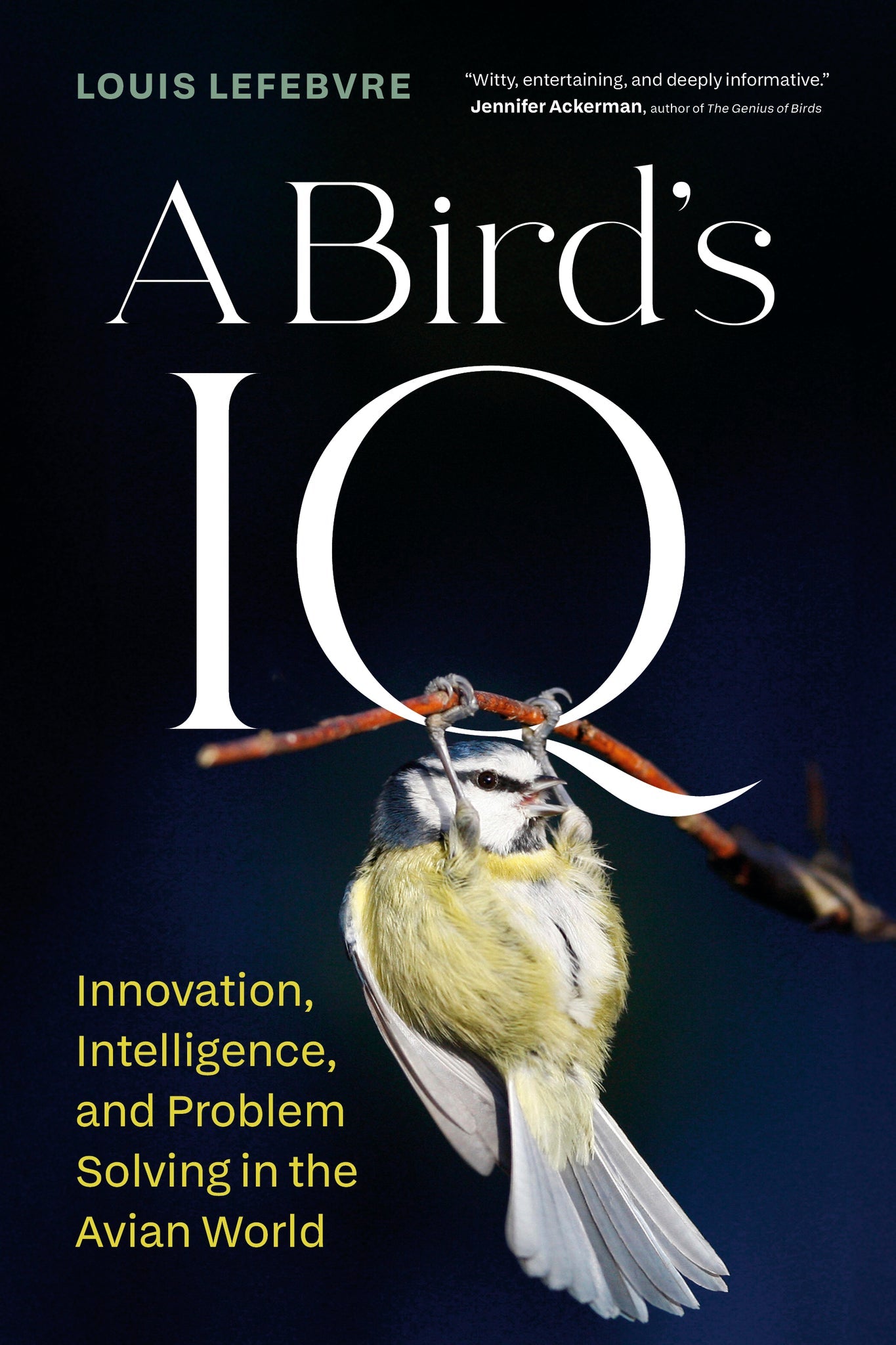 Cover image for A Bird's IQ ISBN 9781778404948