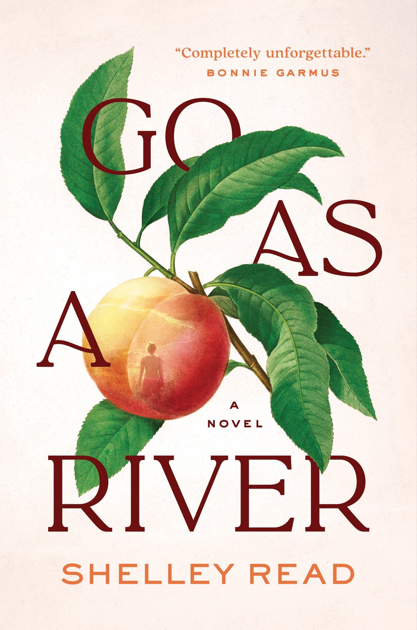 Cover image for Go as a River ISBN 9781954118249