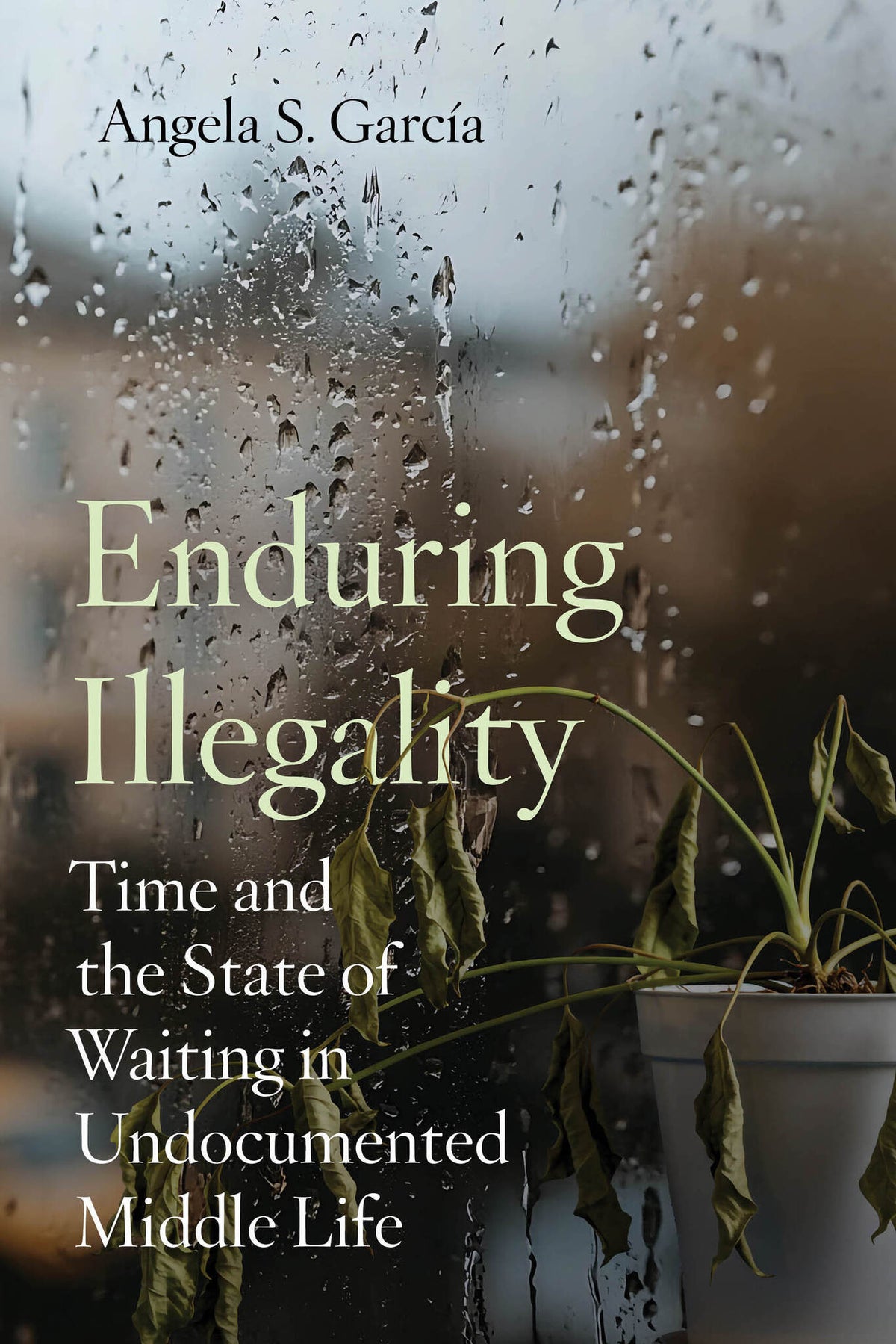 Cover image for Enduring Illegality ISBN 9780520397484
