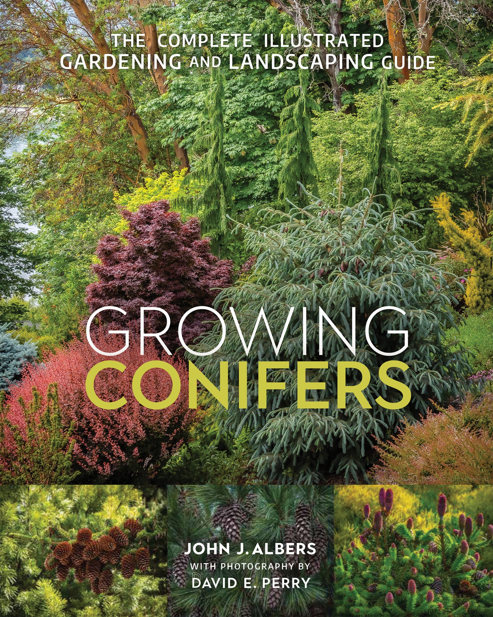 Cover image for Growing Conifers ISBN 9780865719569