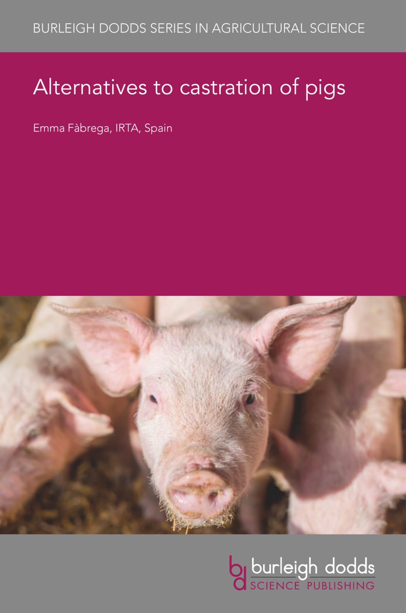 Cover image for Alternatives to castration of pigs ISBN 9781801460309