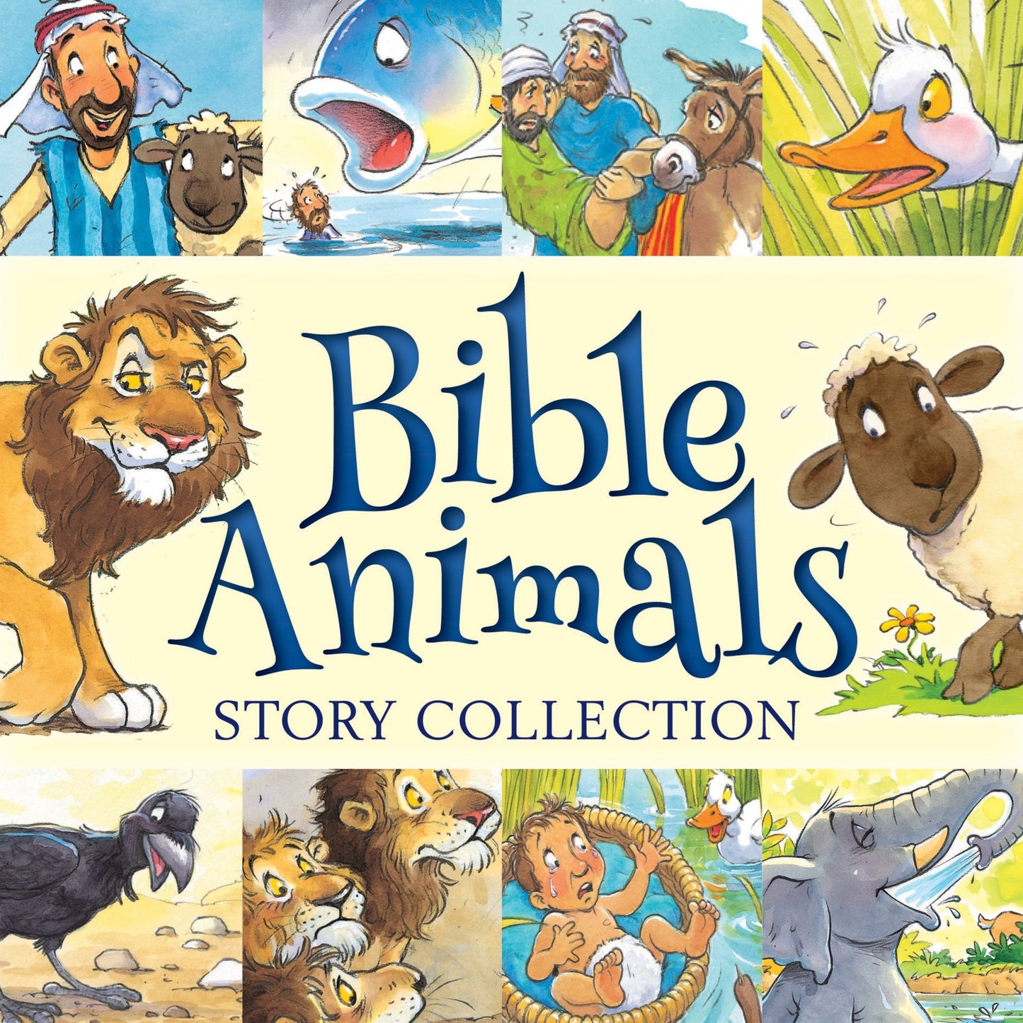 Cover image for Bible Animals Story Collection ISBN 9781781282861