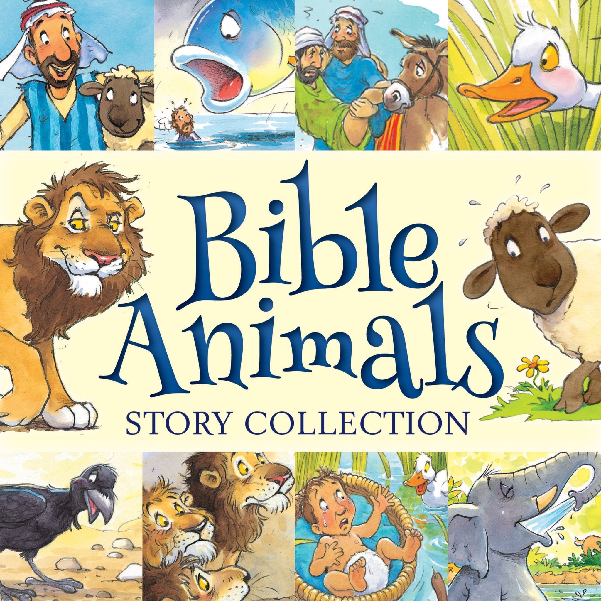 Cover image for Bible Animals Story Collection ISBN 9781781282861
