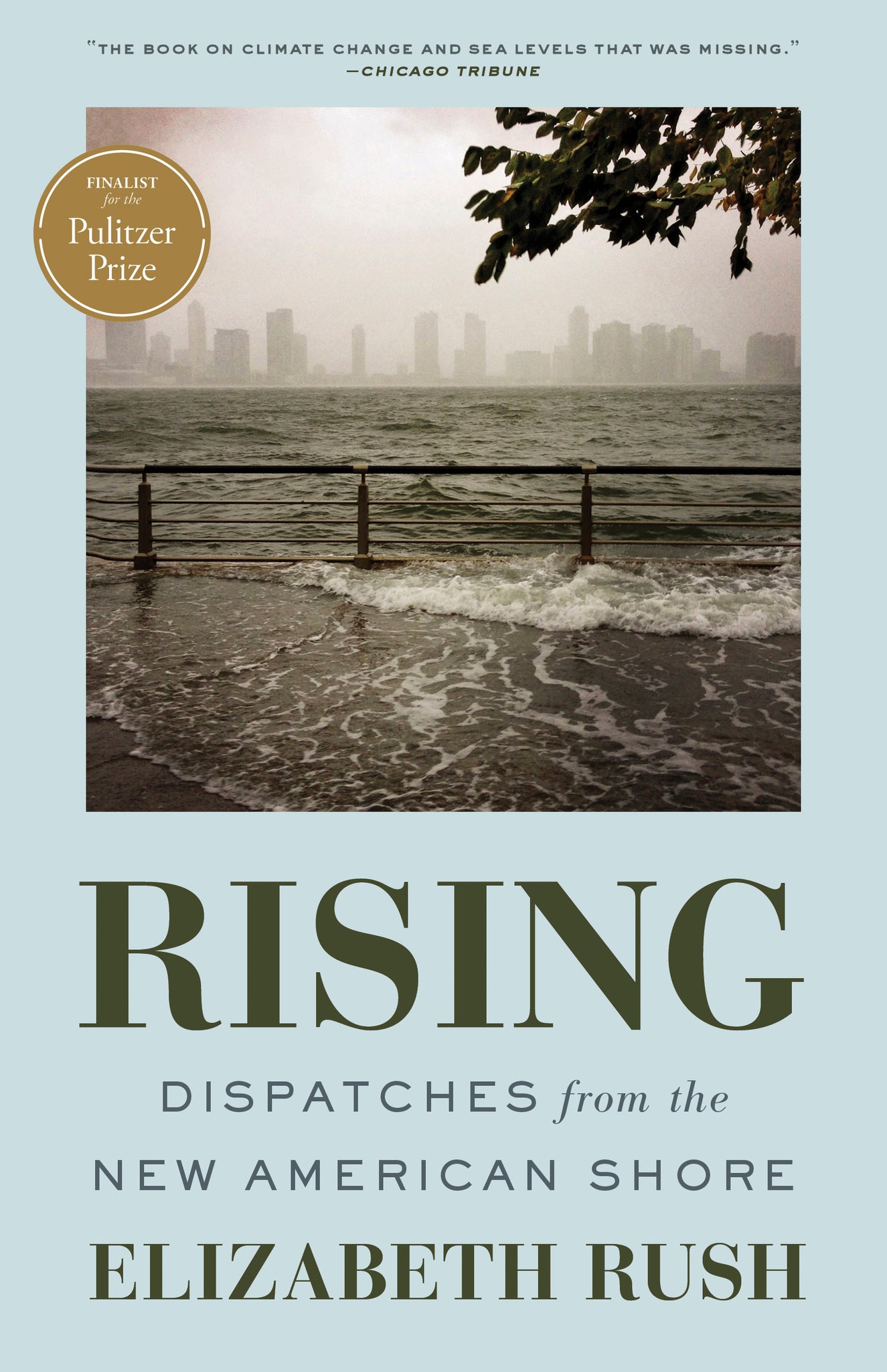 Cover image for Rising ISBN 9781571313812
