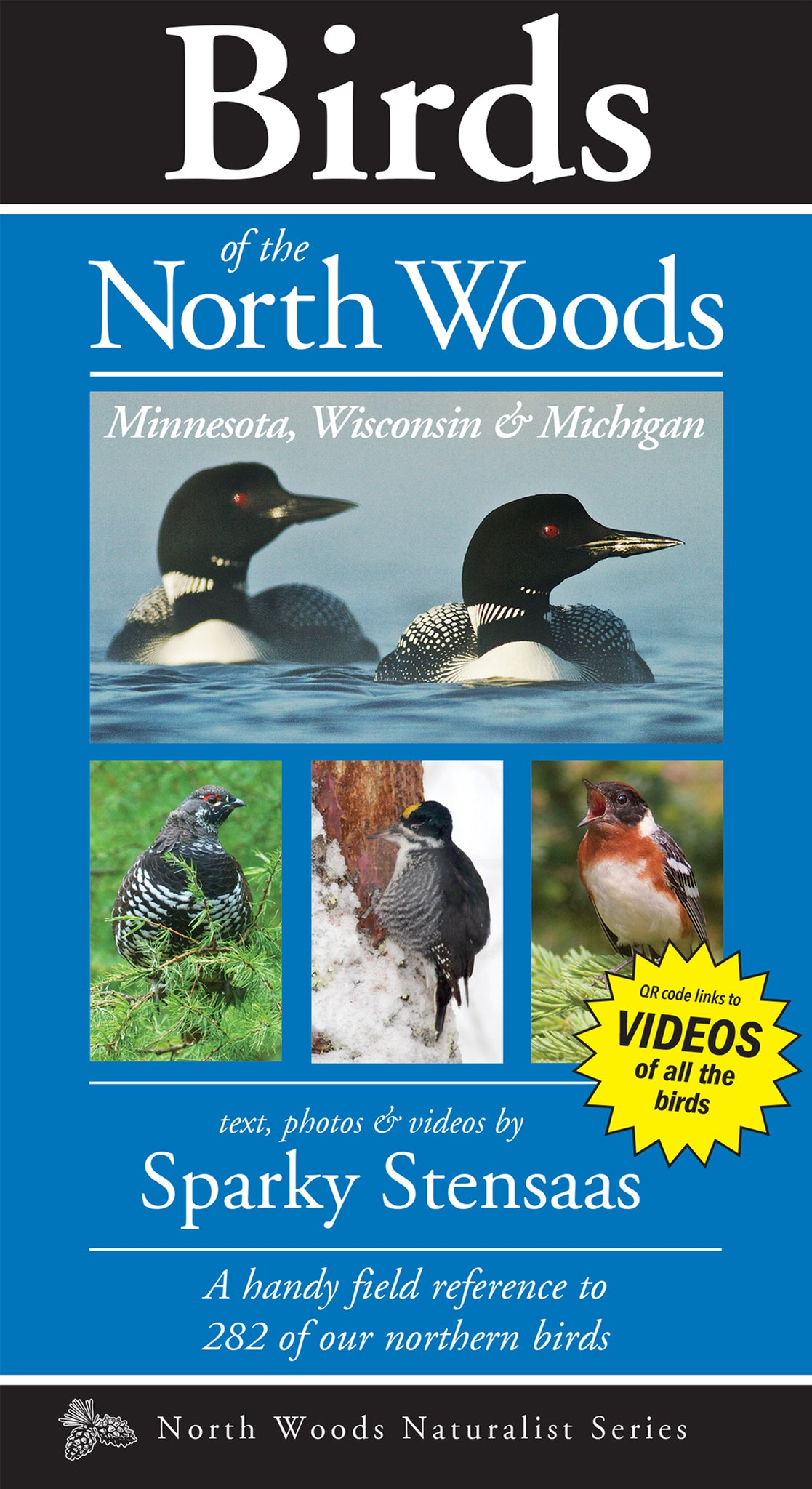 Birds of the North Woods