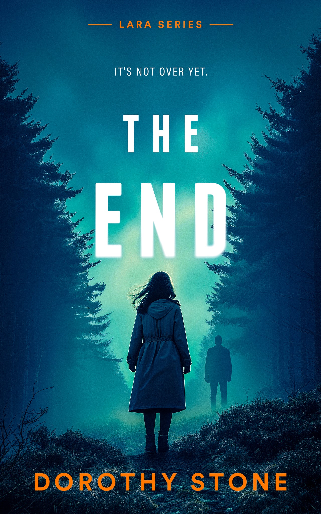 Cover image for The End ISBN 