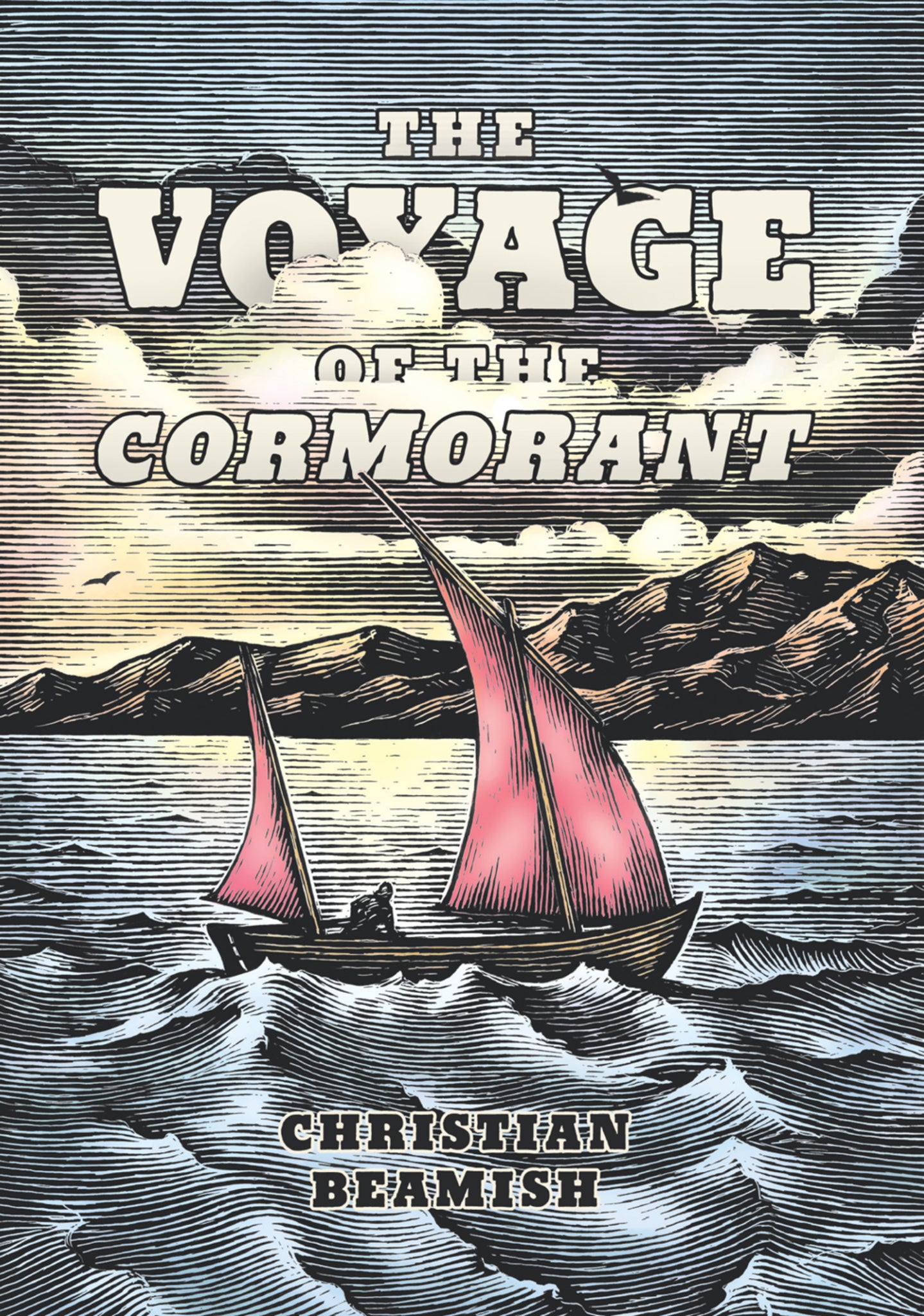 Cover image for The Voyage of the Cormorant ISBN 9781938340116