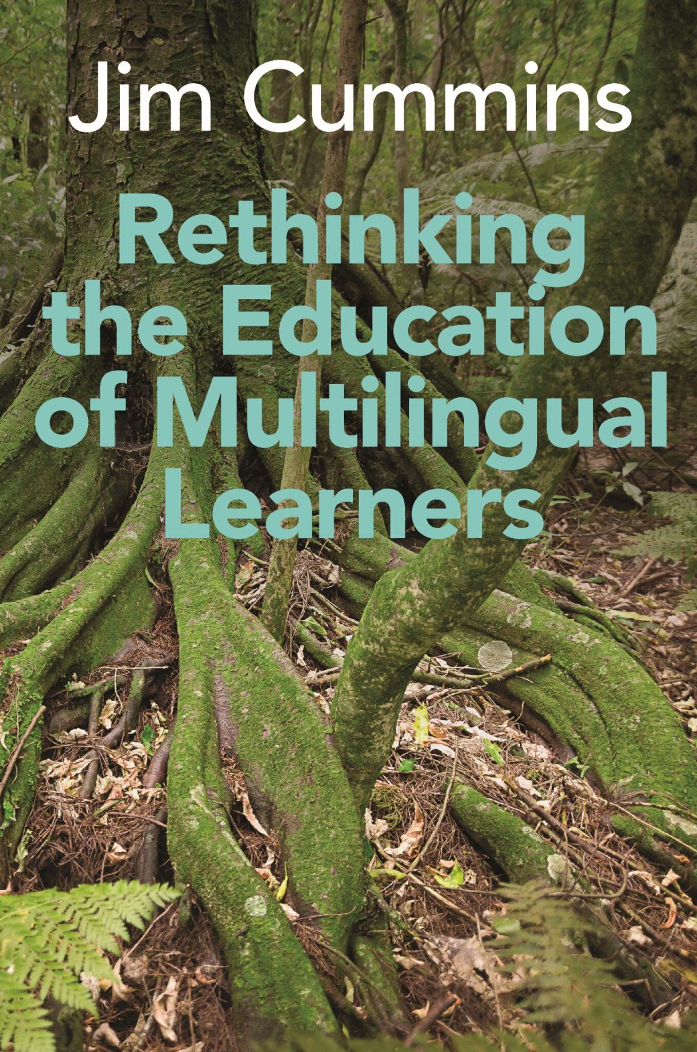 Cover image for Rethinking the Education of Multilingual Learners ISBN 9781800413573