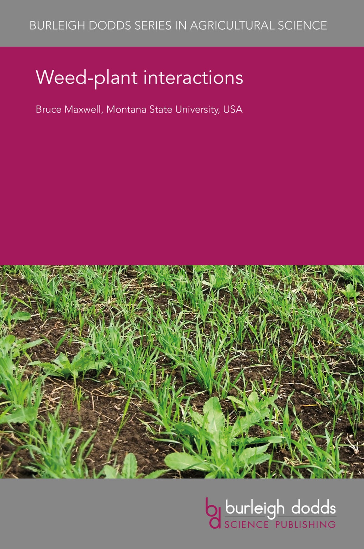 Weed-plant interactions