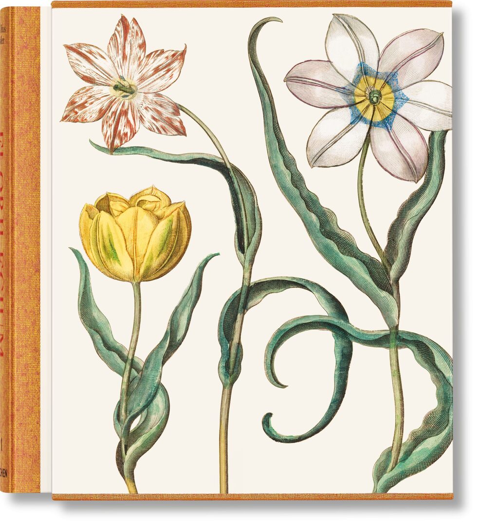 Cover image for Basilius Besler. The Garden at Eichstätt ISBN 9783836594332
