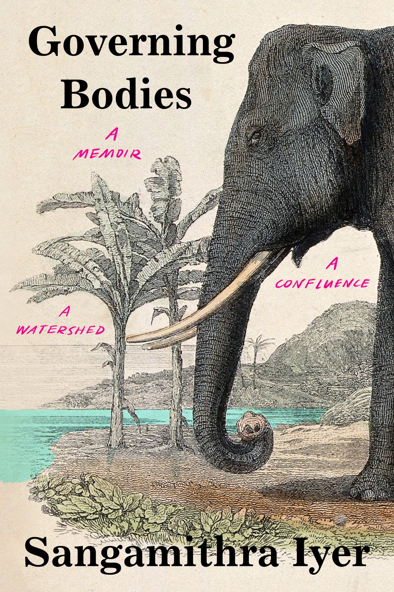 Cover image for Governing Bodies ISBN 9781571313935