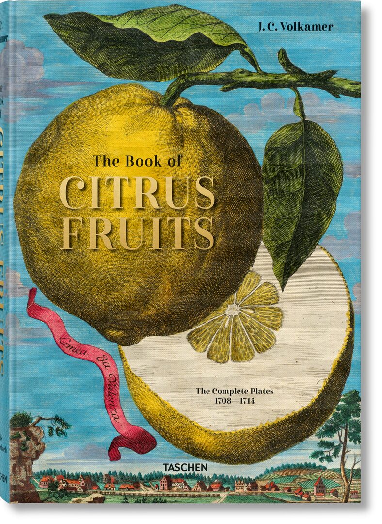 Cover image for J. C. Volkamer. The Book of Citrus Fruits ISBN 9783836535250