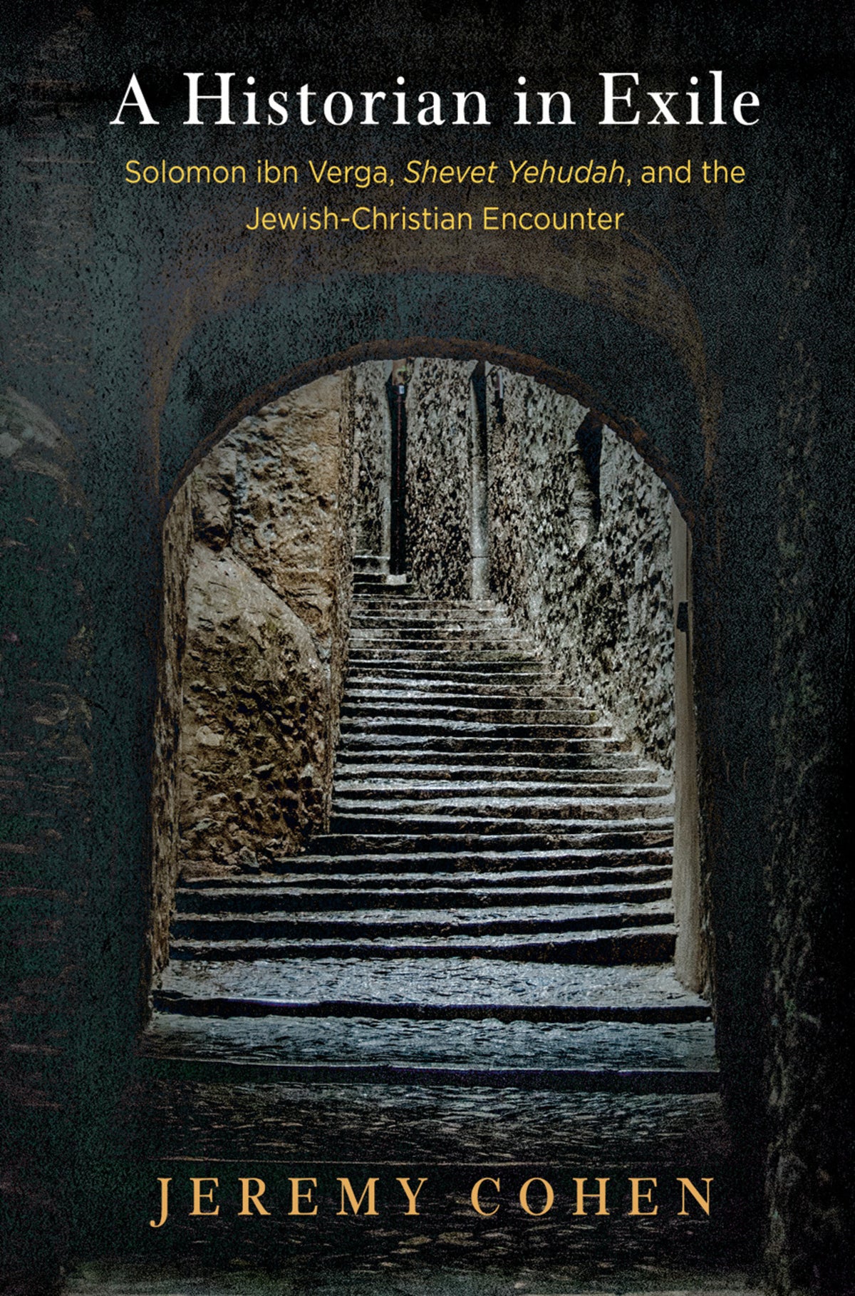 Cover image for A Historian in Exile ISBN 9780812293272